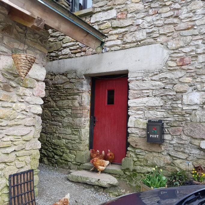 Kingsford Renovated Old Cottage Wexford Exteriör bild