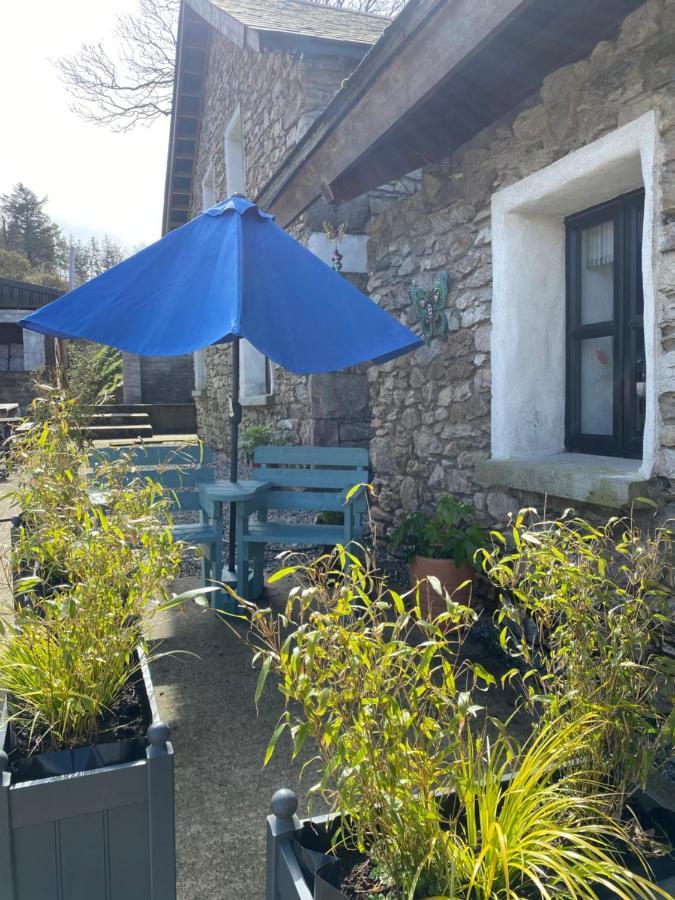 Kingsford Renovated Old Cottage Wexford Exteriör bild